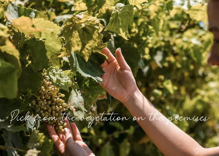 Villa Oneiro - Voted The In Rhodes, Greece! *