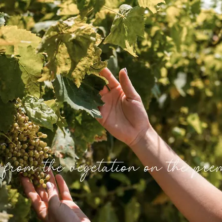 Vilă Oneiro - Voted The In Rhodes, Greece! *